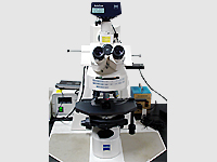 Zeiss AxioVision 蛍光顕微鏡（実験室1）