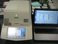 Bio-Rad CFX96 Real-Time PCR
